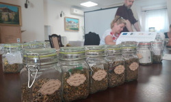 na stole 5 małych, szklanych  słoików w których znajdują się mieszkanki ziołowe na odporność, na zdrowe nerwy, na zdrowie kobiety, na zdrowe włosy i na zdrowe serce 