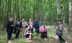 Grupa osób w lesie pośród drzew