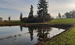 Staw w miejscowości Stefankowice