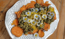 na drewnianym stole na białym owalnym talerzu  pieczone plastry batatów polane ziołowym pesto udekorowane kwiatami stokrotki 