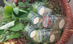 w wiklinowym koszyku świeżo zerwane zielone zioła i 5 szklanych, małych słoików z mieszankami ziołowymi 