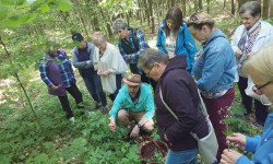 Grupa osób w lesie uczestniczy w zbiorze ziół